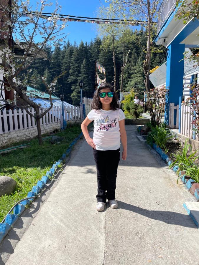 Ats -Manali Hostel Kültér fotó